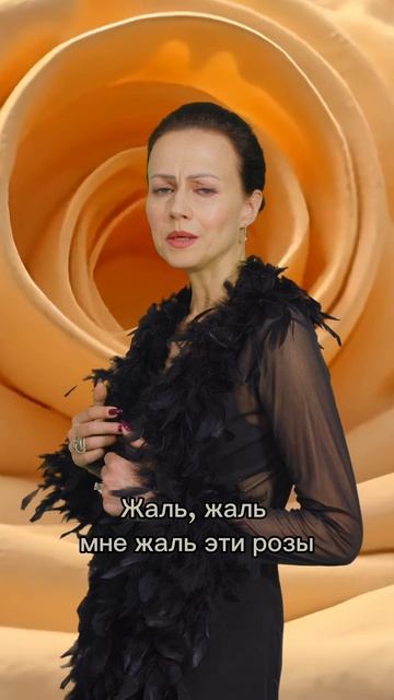 «Мне жаль эти розы,которые ты мне дарил Завяли они»Моя песня «Жаль»
#ИринаБурмистрова  #весна #жаль