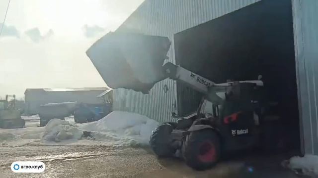 Ячмень: отгрузка в Нижегородской области