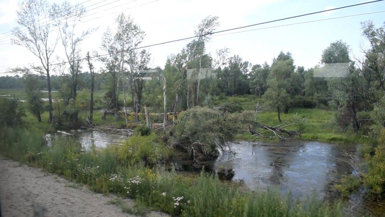 Электропоезд ЭД9М-0113. Покатушки от Присягино до моста через Обь. После урагана.