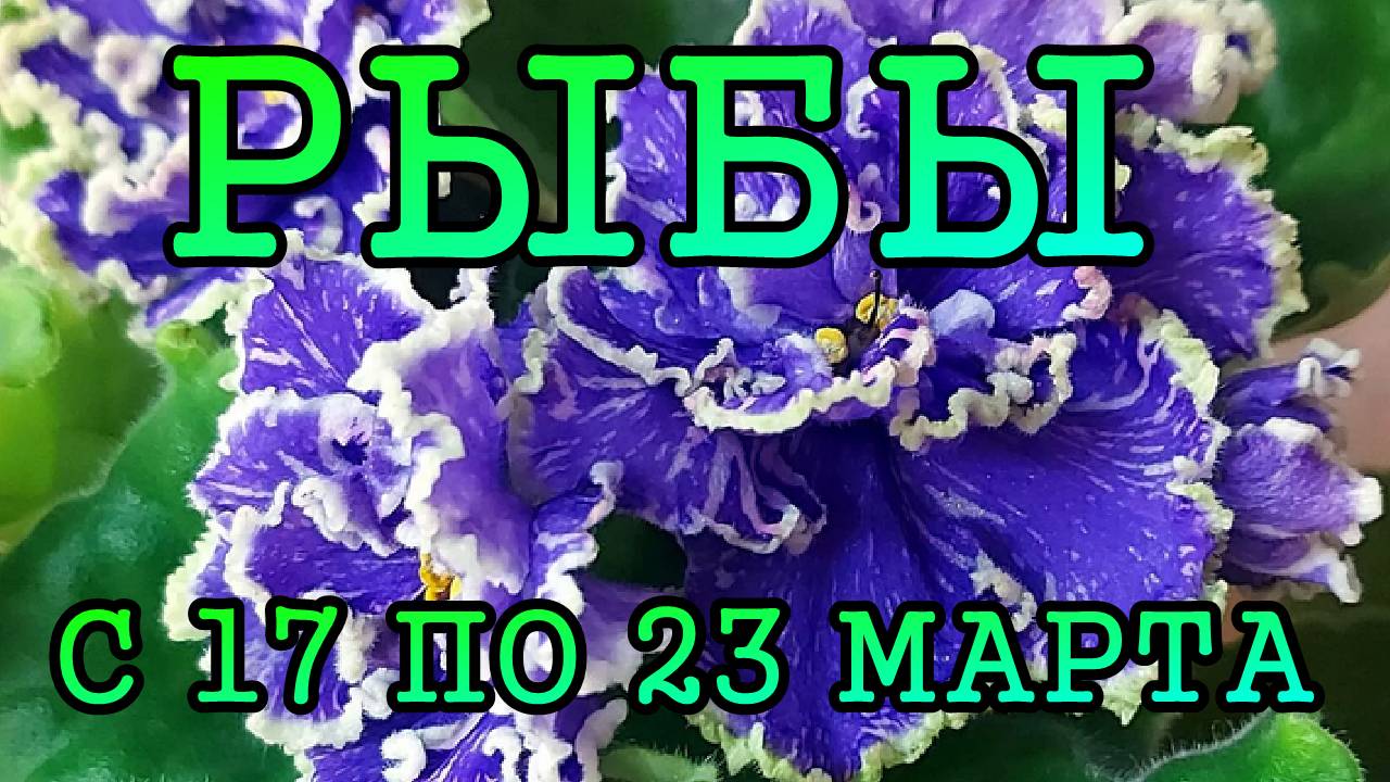 РЫБЫ таро прогноз на неделю с 17 по 23 МАРТА 2025 года.