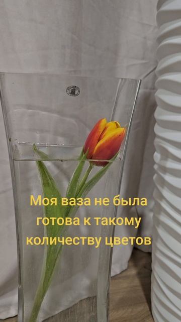 юмор