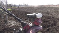 Сад и огород открытие сезона 2025