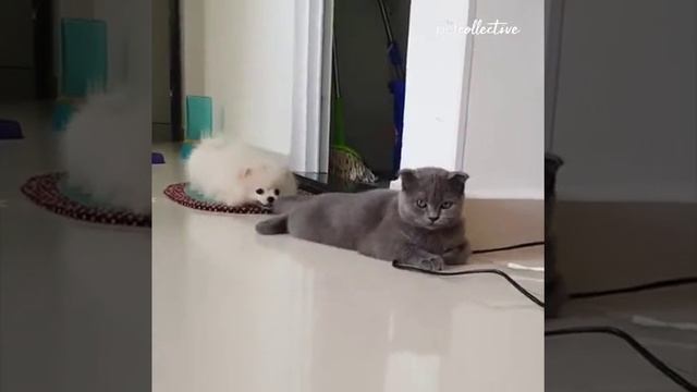 1000076600.mp4