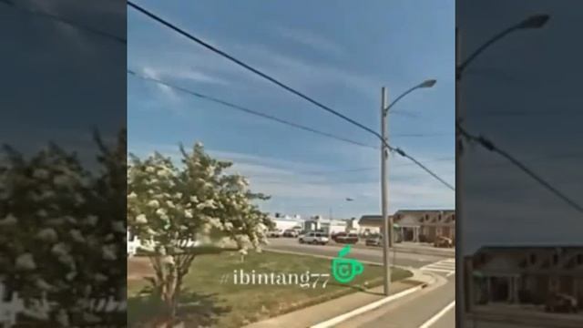 НЛО обнаружено на Google-карте