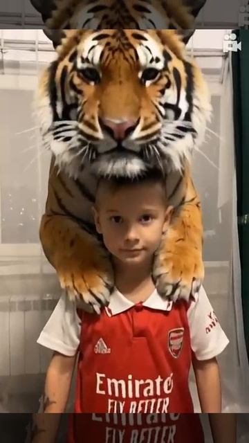 Тигр