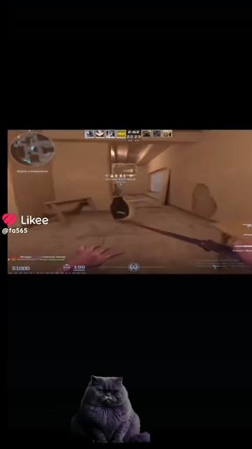 1000028629.mp4