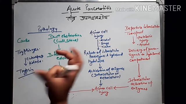 Pathology of Acute pancreatitis in hindi