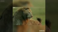 БУДЬ СИЛЬНЫМ