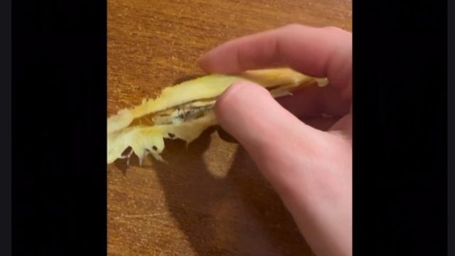 Как вырастить манго из косточки