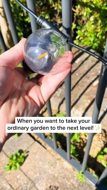Watch til the end! 😍 #gardentransformation  #solarlights #gardeningideas #gardening_in_5minutes