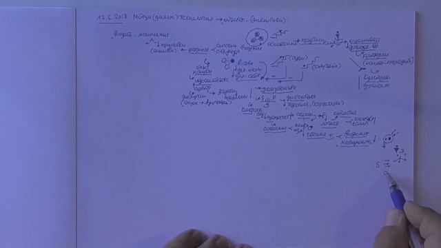 ММПК ОСА МТШ Видимое и невидимое  Схематизация  Идеи Канта  Роль языка  Значение системности  Крит
