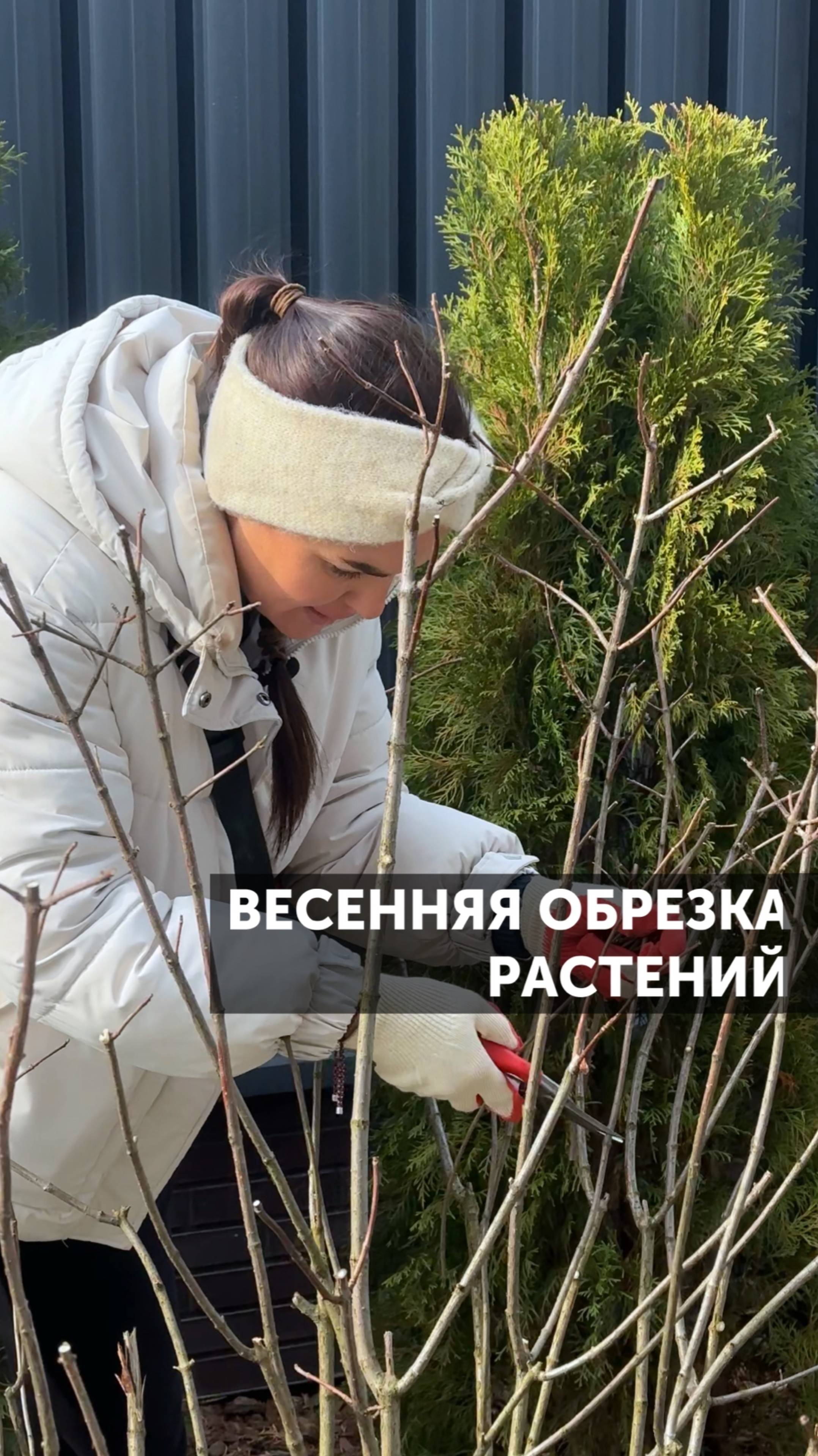 Весенняя обрезка растений #садоводство #ландшафтнаякомпания #уходзарастениями #загороднаяжизнь #сад