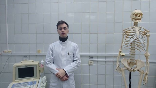 Эластомер