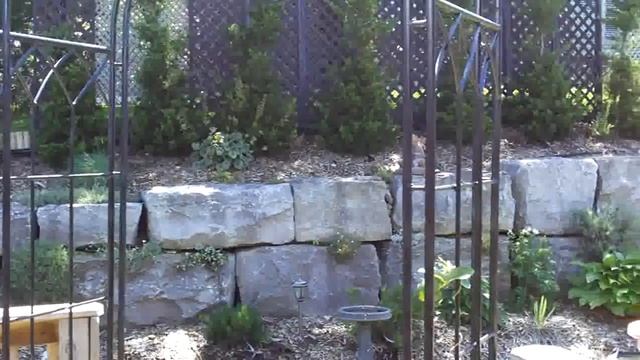 My Backyard - Kodak Zx1 Test