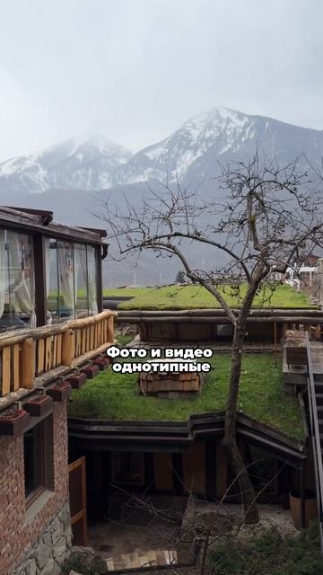 Фальшь, ложь и неискренность #предприниматель #инстаграм #соцсети #общество