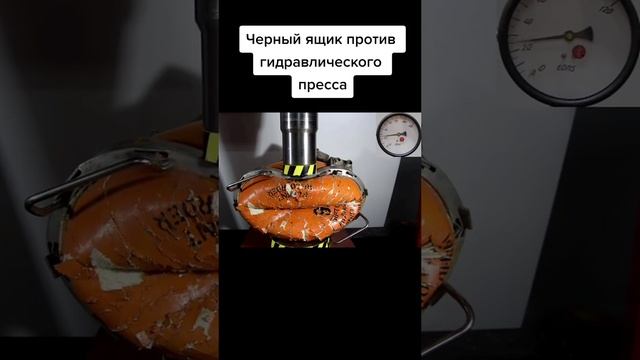 #микромир #наука #микроскоп #интересно #подмикроскопом