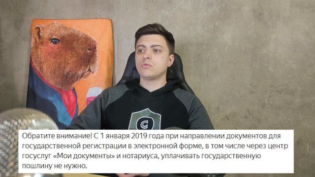 Про самозанятость ИП и ООО