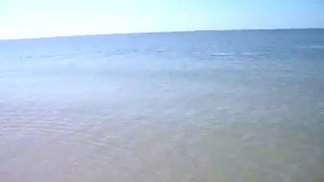 дельфины Железный порт.mp4