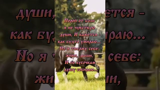 мудрость