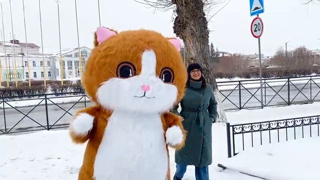 Кот Книжаня и весенние опасности