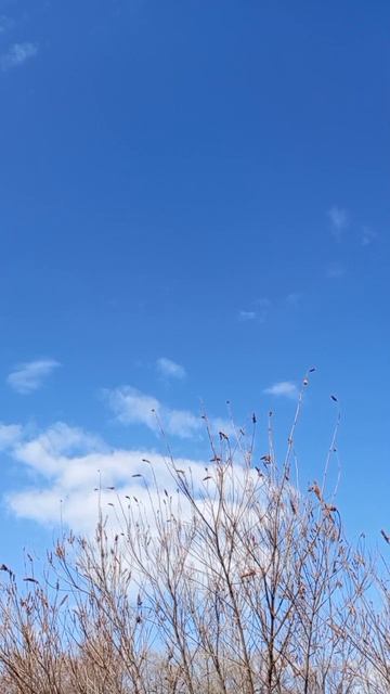 13.03.2025 #сегоднятак #сегодня #природа #nature #oggicosì #бүгін #oggi #hoy #今日 #today #오늘 #자연 #自然