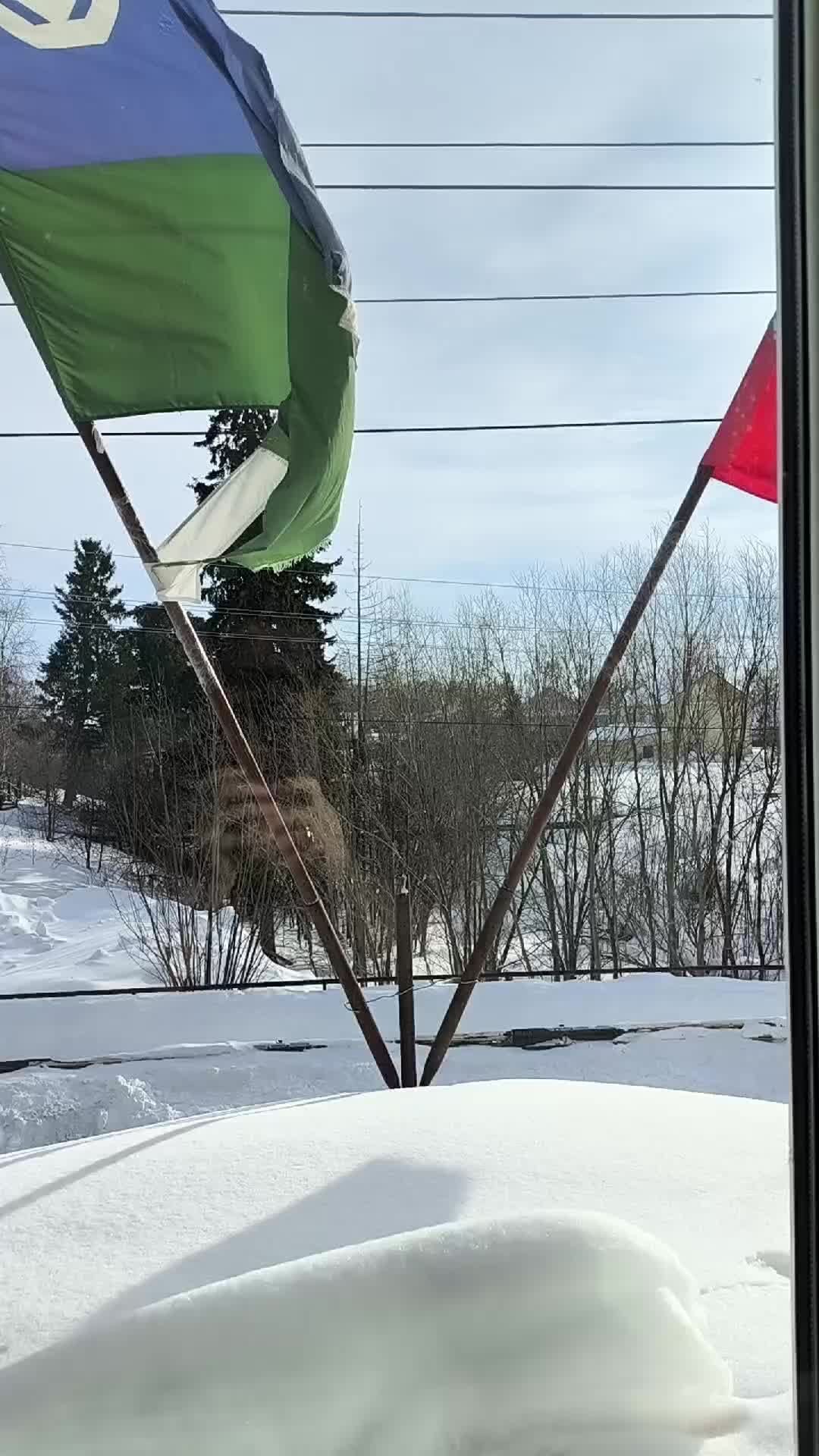 Флаги 🇷🇺