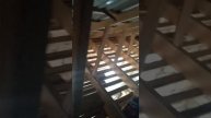 Төбе жабу. Каналға жазылып. Лайк баса салыңыз.