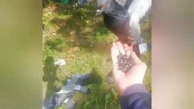 Творите добро! Аллах любит творящих добро!