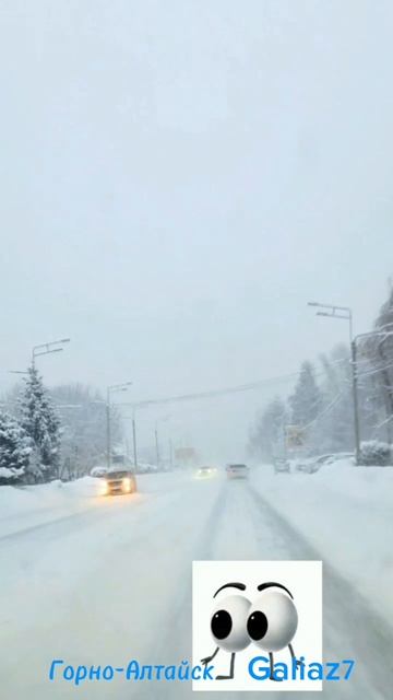 Заснежило... #горноалтайск