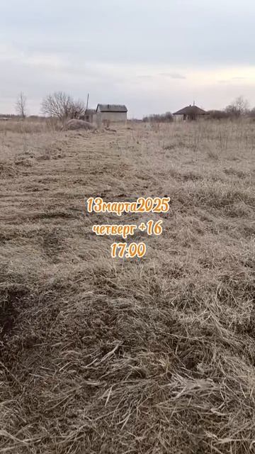 13-03-2025