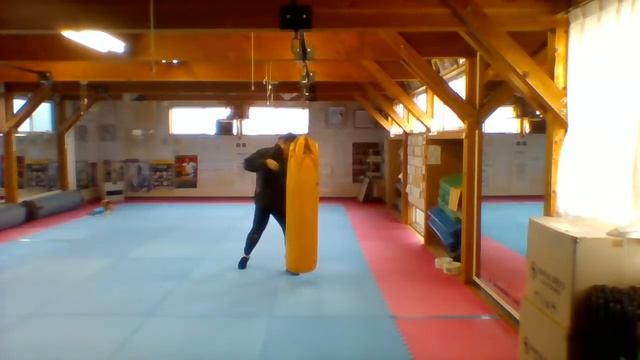 kyokushin karate tabata dojo １９３３/2000