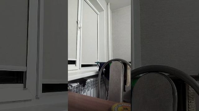 р