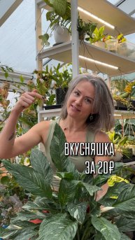 -У меня для вас плохая новость ⬇️