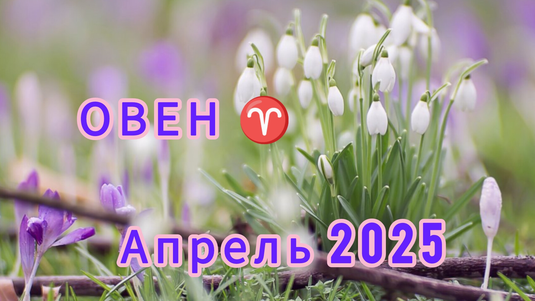 ОВЕН ♈ расклад таро на апрель 2025 года