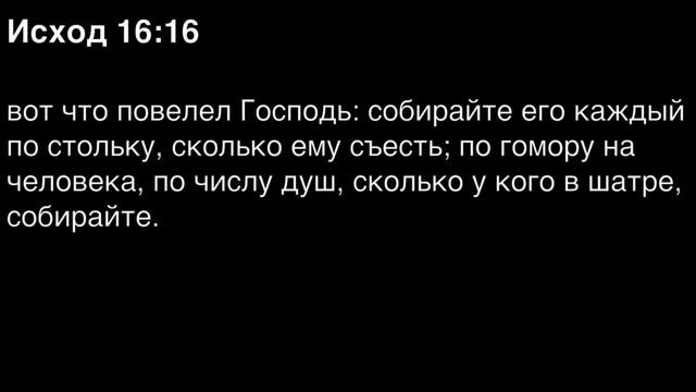 Исход, глава 16