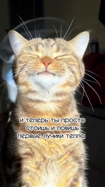 +28 в марте