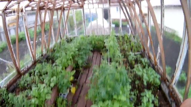 Ураган обошел нас стороной