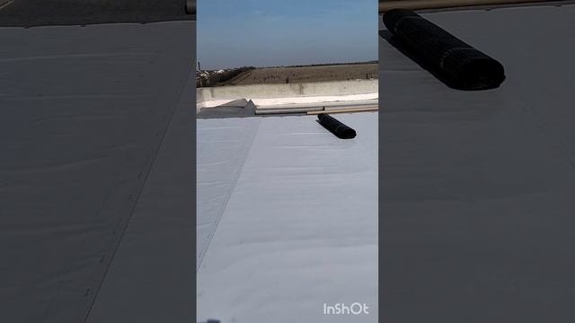 1000009329.mp4