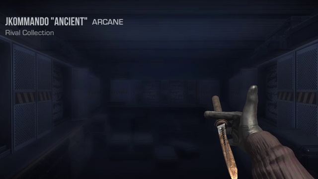SVID_20250313_102747_1.mp4