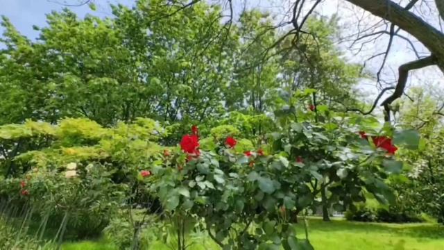 Южное Взморье Адлер.mp4