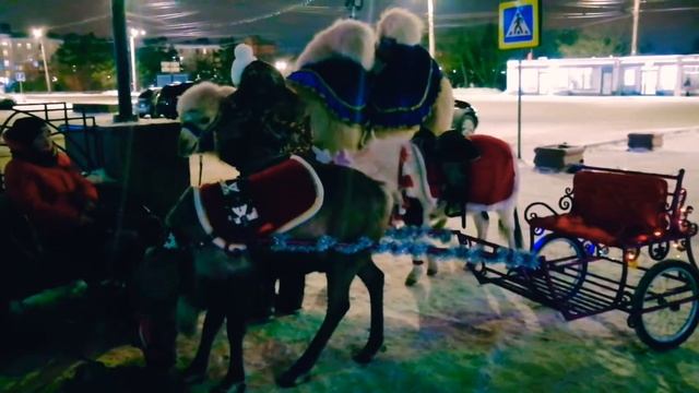 🎄НОВОГОДНИЙ ОМСК 2022, ТЕАТР АРЛЕКИН
