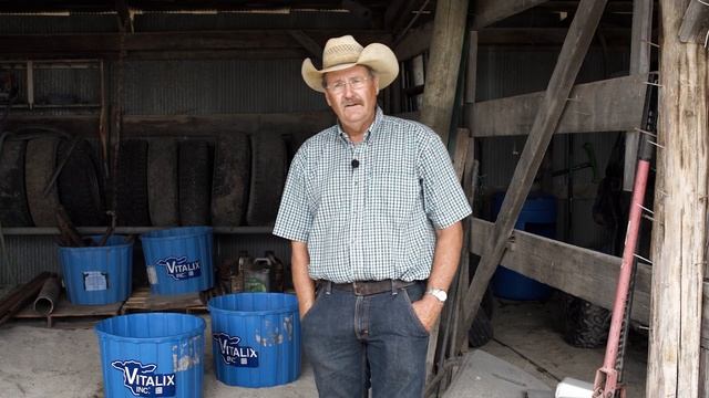 Mineral Supplement Tubs Improve Cattle Health in All Stages of Life | The American Rancher