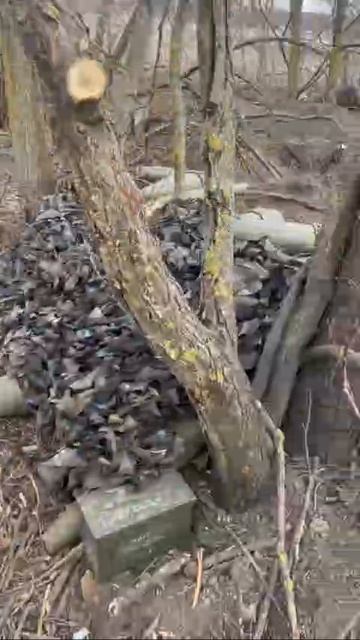 Трофеи Курская область в Судже