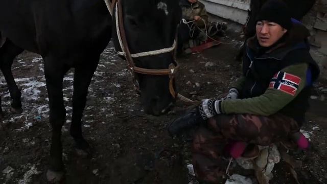 миллиондун каны барбы ..СОКУЛУК МАЛ БАЗАР