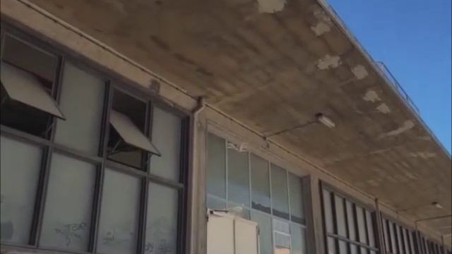 бионический беспилотник! весит 13 грамм!!!