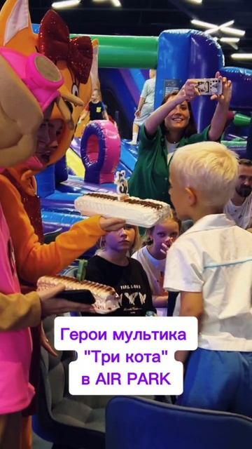 Герои мультфильма "Три кота" в AIR PARK