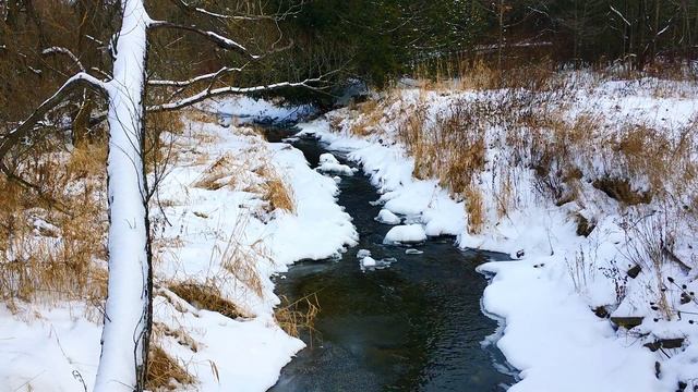 Путь по снегу лесного ручья. Неспешная холодная вода. Красоты зимы на видео.