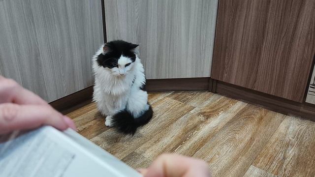 Мой очередной заказик 🩵