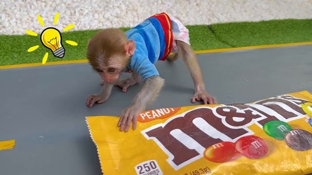 Monkey-Baby-Bon-Bon-Goes-to-Buy-Giant-M-M-Candy-and-Eats-Ice
Обезьянка БонБон идет покупать конфеты