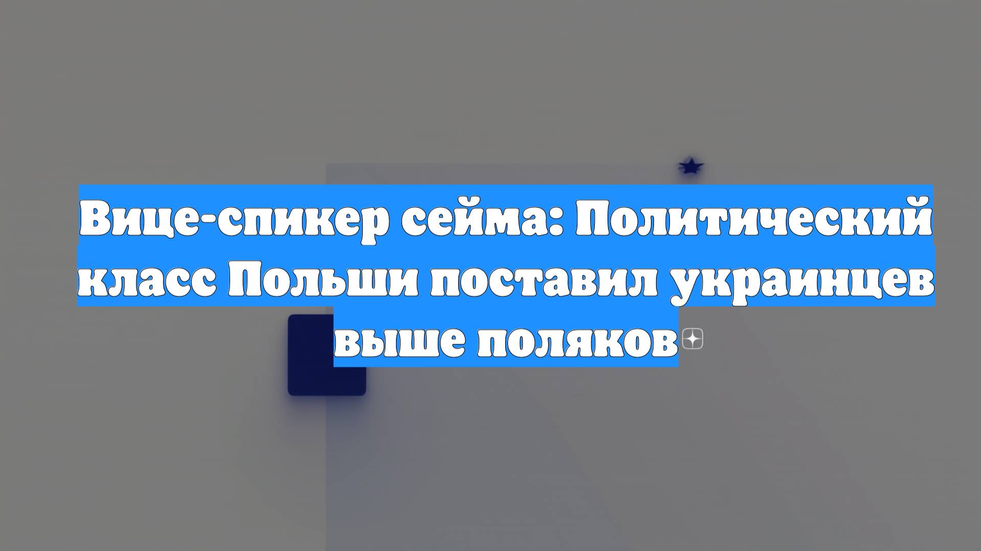 Вице-спикер сейма: Политический класс Польши поставил украинцев выше поляков